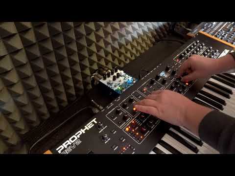 Testing New Soundbank for DSI PROPHET Rev2 in my studio - Nils Frahm mood