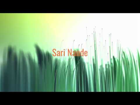 Sari Nande (Andy Tielman) - Cover by Schlagerburschi