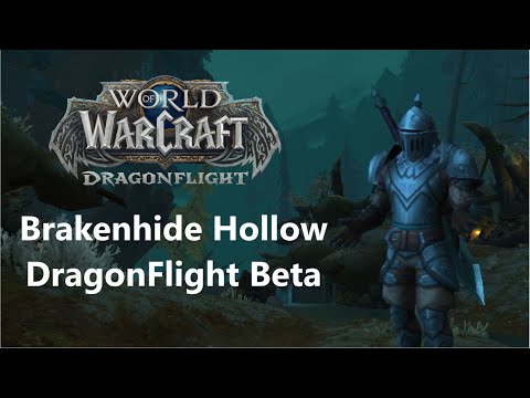 BrakenHide Hollow DragonFlight Beta Ret Paladin Testing