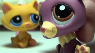 Littlest Pet Shop: The Dire Purple Cow of Slow Death