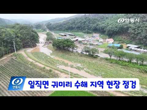 [안동 현장 리포트] 7월 20일, 일직면 귀미리 수해 지역 현장 점검