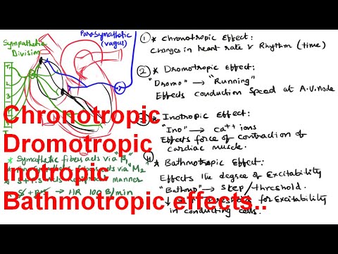 Chronotropic / Dromotropic/ Inotropic/ Bathmotropic effects on the Heat - YouTube