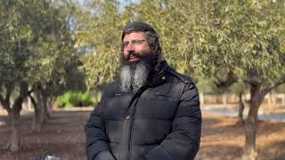 מלך קודם למשיח | הרב נדב סופי (ישיבת הר הבית) - התמונה מוצגת ישירות מתוך אתר האינטרנט יוטיוב. זכויות היוצרים בתמונה שייכות ליוצרה. קישור קרדיט למקור התוכן נמצא בתוך דף הסרטון