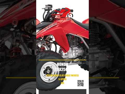 Honda TRX250X - Video 1