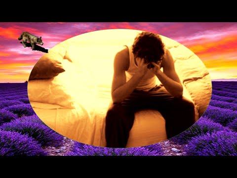 BIJELO DUGME-DOBRO VAM JUTRO, PETROVIC PETRE (TEKST)