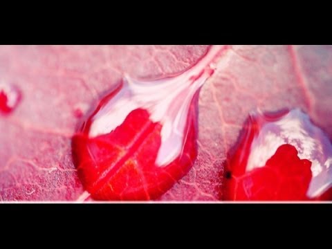 Assi Elfassi - Deep Fury (Rework)