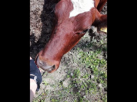 Nyt sitä sitten sataa