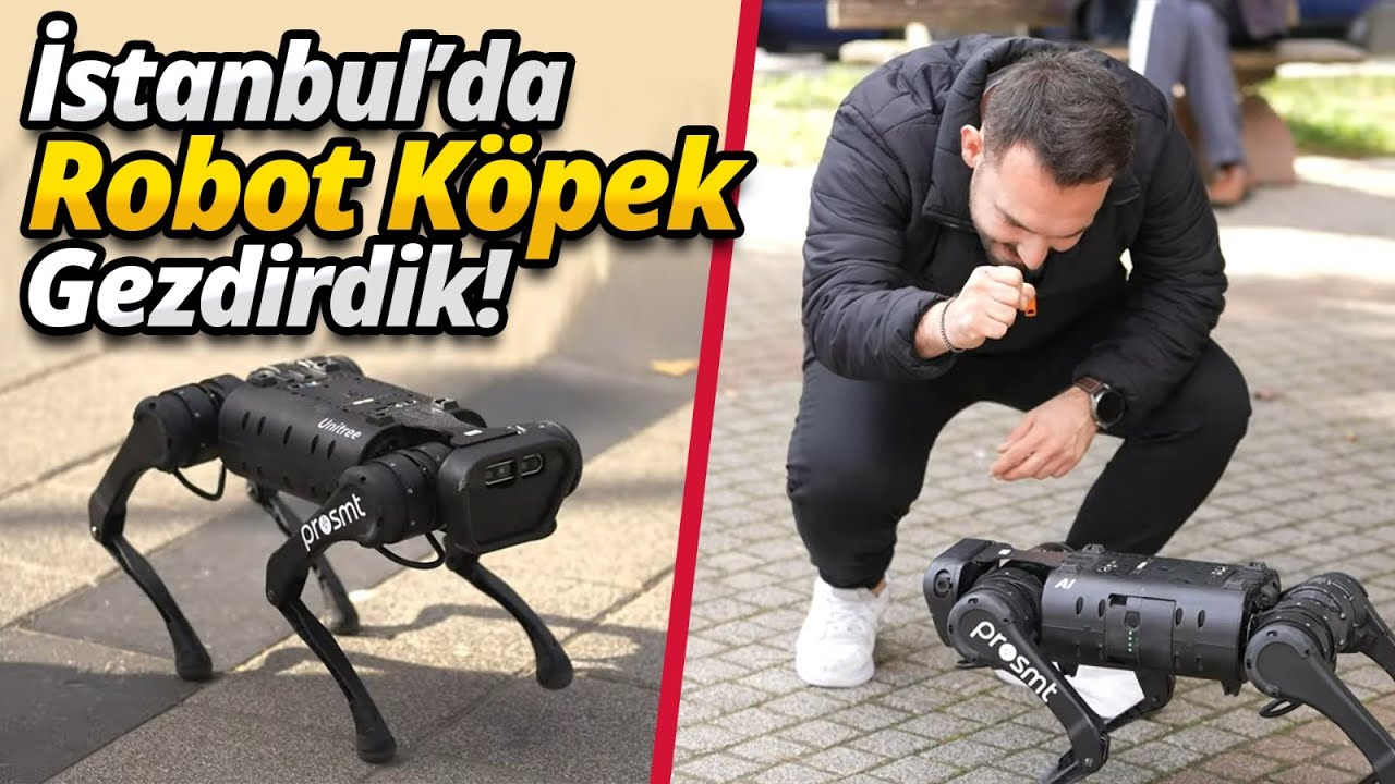 Dünyanın konuştuğu robot köpek! - İstanbul'u gezdirdik 😎