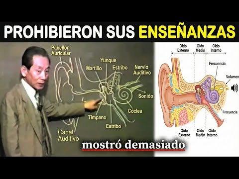 Científico Japonés: Revela el porqué del ZUMBIDO en los OÍDOS (es una señal de la Mónada)