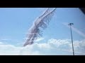 Bird Watcher Sound Effect