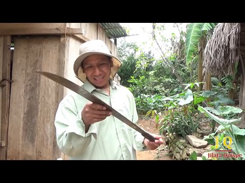 ASÍ SE VIVE CON LOS ANIMALES DEL MONTE EN LA SELVA, Los Yungas de La Paz - Alto Beni, Bolivia