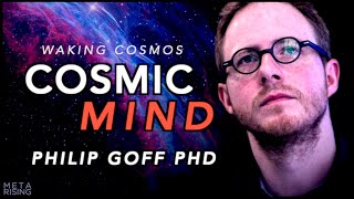 Is the Universe Conscious? - Panpsychism with Philip Goff