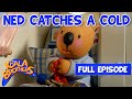 Ned Catches A Cold KoalaBrothersTV Animation For Kids