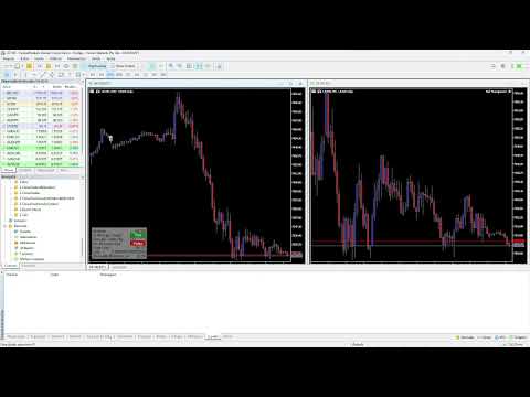 Video Lot Size Calculator Panel