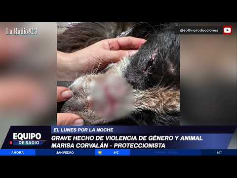 Hechos de violencia de género y animal