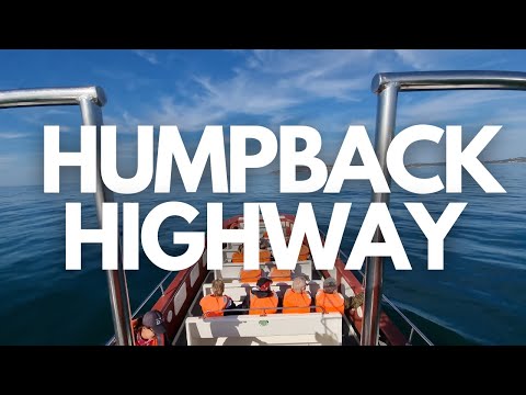 The Whale Watching Experience with Ocean Blue Adventures in Plettenberg Bay