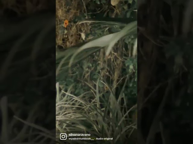 Vídeo relacionado con BTOSEP Decoración de fantasma de tela blanca de 165 cm, altura ajustable con ojos de fieltro, para fiesta de Halloween, porche, patio, decoración del hogar