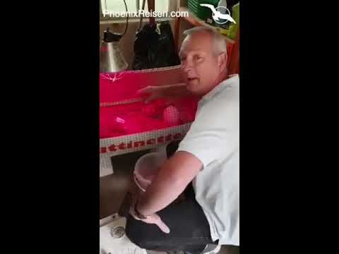 Sehnsucht nach Meer? Kreuzfahrtdirektor Holger Winkler gewährt Einblicke in seinen Alltag.