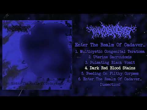 Thanatopsis - Enter The Realm Of Cadaver... FULL EP (2010 - Goregrind)