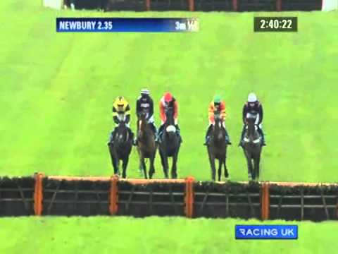 2011 sportingbet Long distance hurdle - Big Bucks