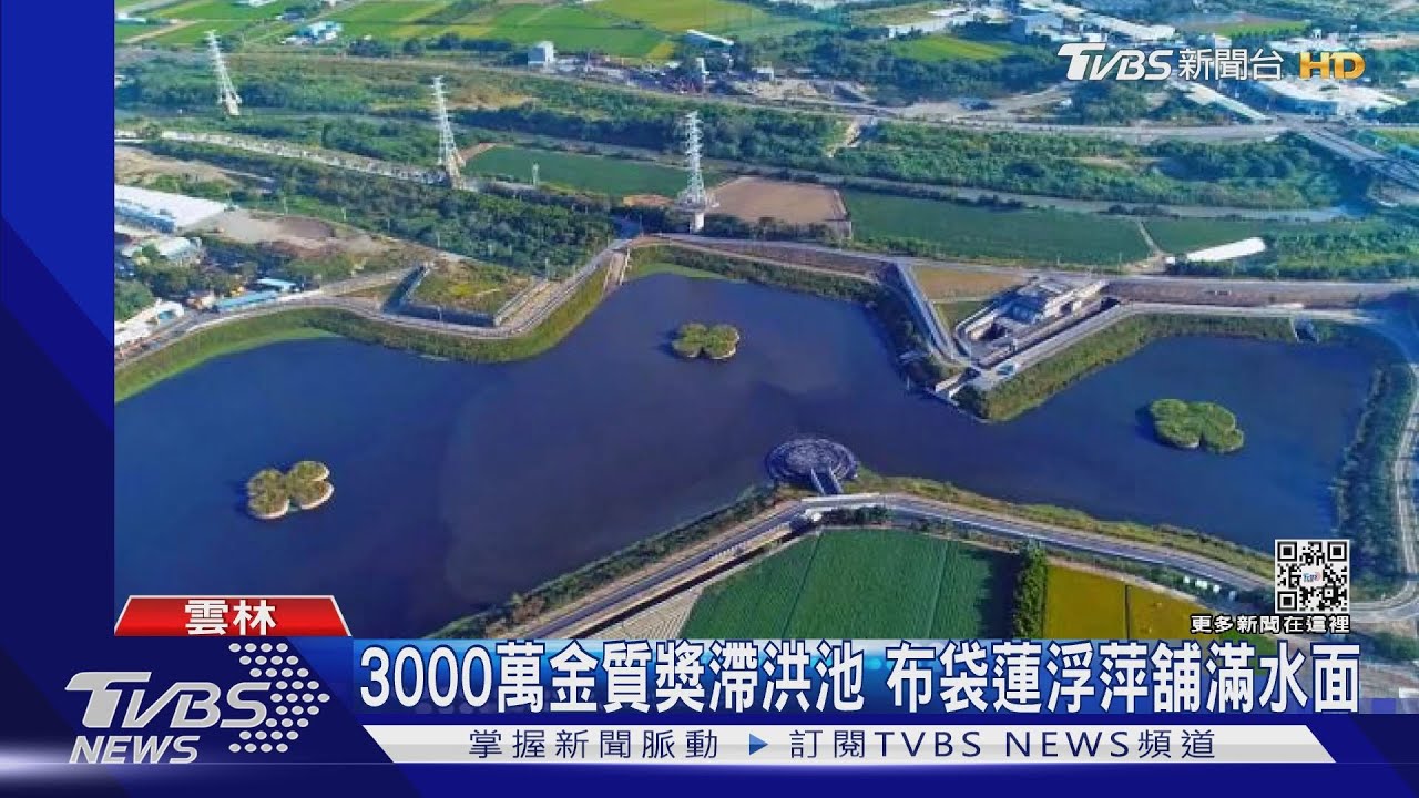 3000萬金質獎滯洪池　布袋蓮浮萍舖滿水面