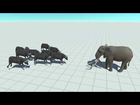 10x CAPE BUFFALO vs EVERY UNIT - Animal Revolt Battle Simulator