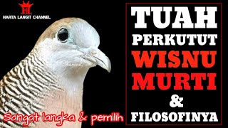 Download lagu Characteristics, myths & magical powers of the Wisnu Murti Turtle Dove mp3 Download lagu Characteristics, myths & magical powers of the Wisnu Murti Turtle Dove mp3
