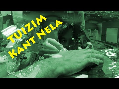 TUIZIM - Kant Nela