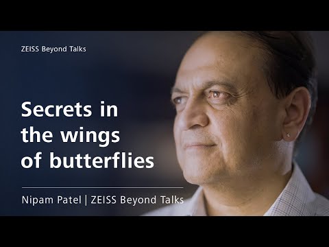 ZEISS Beyond Talks – Biologist Nipam Patel takes us into the fascinating world of genetic research