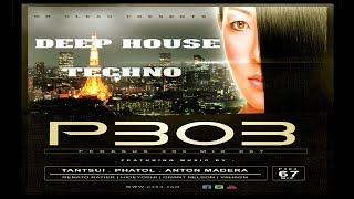 Pegasus 303 Mix 067 with Mr. Clean - Techno Mix 2015