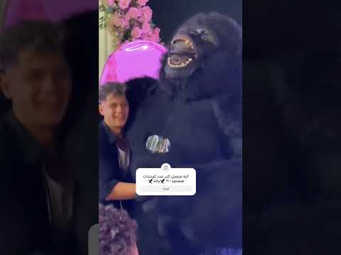 #امين_خطاب #مشاهير #اكسبلور #باندا #الغوريلا #ترند #مهرجانات #تيك_توك #فولو #لايك #ضحك