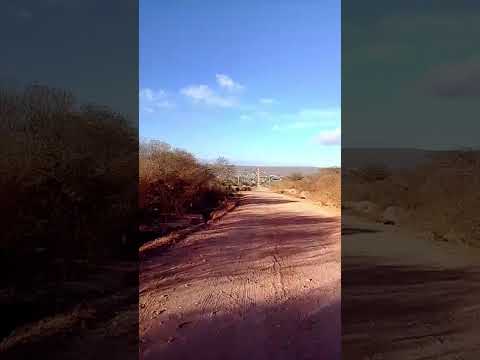isso aqui é a reta que liga Ibimirim pe a Petrolândia que a muitos anos já era pra ser asfaltada mas