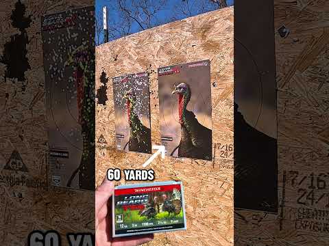 Winchester Longbeard XR-Turkey Ammo Test: 6 shot v. 5 shot-Does Shot size really matter?????