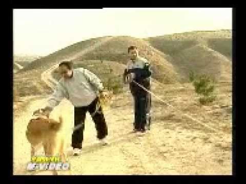 Hoja Ashyr dade degishme