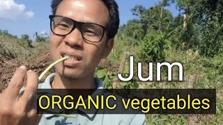 Download lagu Assi Ranniye Bera jer || Gele ejo || #Zigzagbimal mp3 Download lagu Assi Ranniye Bera jer || Gele ejo || #Zigzagbimal mp3