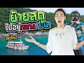 ฟีฟายผู้หญิง