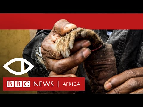 Malawi's Human Harvest - BBC Africa Eye documentary Video