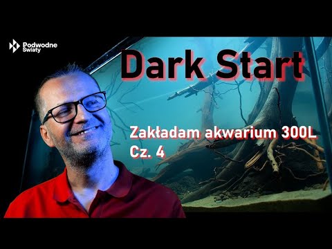Setting up a 300L aquarium. Dark start. Part 4.