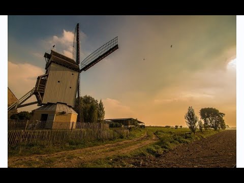#184 Windmolen Bikschote, Langemark-Poelkapelle - België