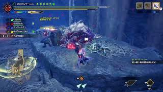 モンハンライズサンブレイク　新突撃！隣の怪異クエ