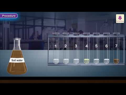 0.1 pH Universal Indicator Solution, For Laboratory