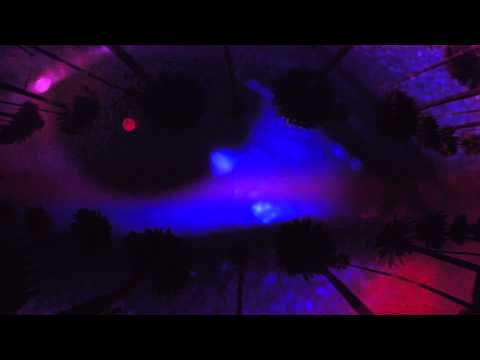 LOLAWOLF -- Drive (Los Angeles) --  Official Music Video