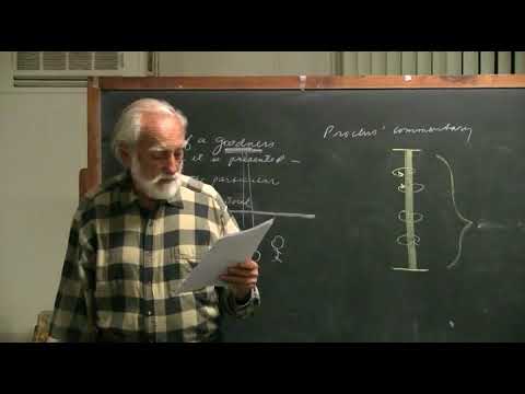 2010-03-12 NSFRI - Plato - Timaeus (40e-41a, 71e-72c, 89d-90e) - The Path of Goodness to Man