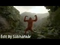 Gorila dance 