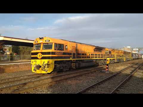 GWA007, GWU003 & GWU008 empty grain train through Parkes NSW. Sat 30th Nov 2019