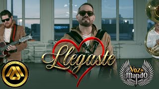 Llegaste Lyrics English Translation