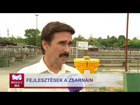 Videó előnézet
