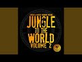 Sound Killer (Jungle VIP)