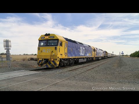 7732V Pacific National Grain Train With BL27  BL30  X50 At Gheringhap (21/2/2025) - PoathTV Railway