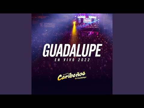 Mix Pirata 3: Mil Botellas / Vienes y Te Vas / Corazón de Piedra / El Amor es Así